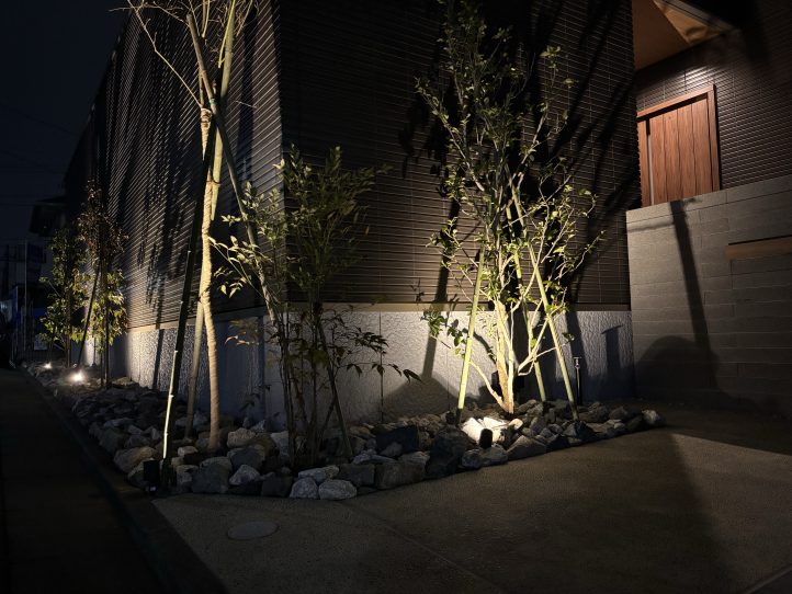 別確度 壁を有効活用するため葉の影が映るような配置に