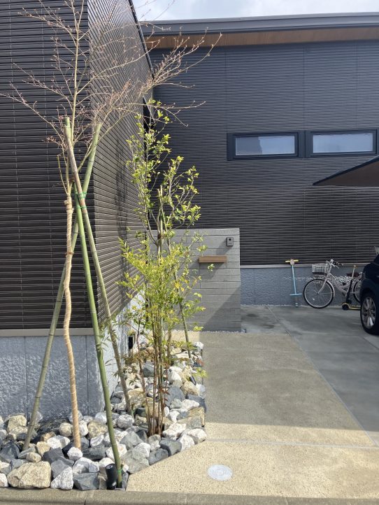 もう1つのキービジュアルの植栽