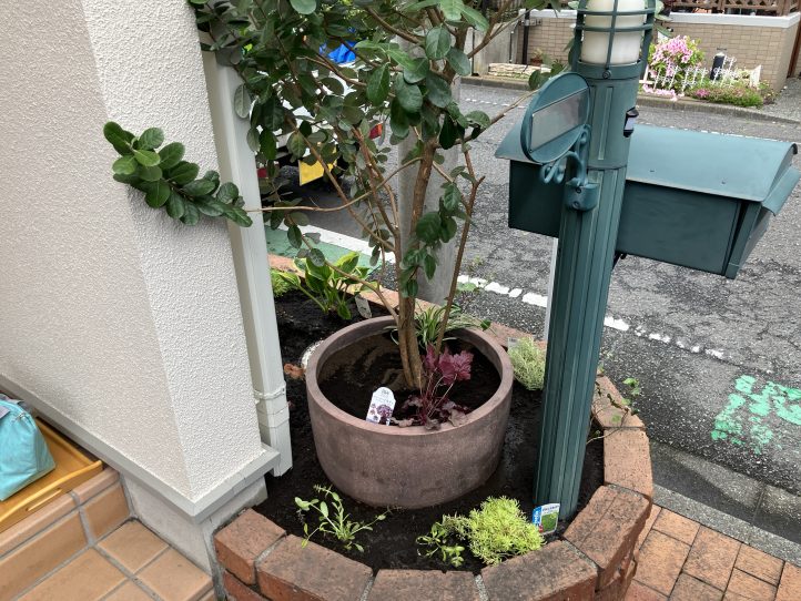 花壇の中に鉢を埋める