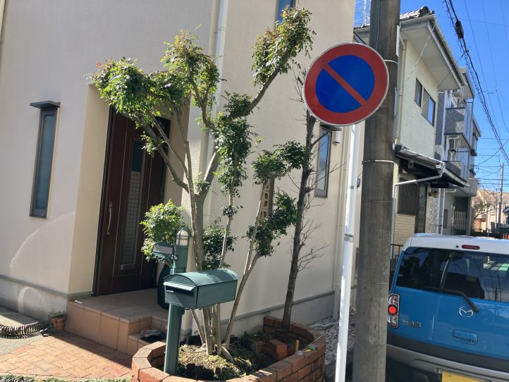 花壇ビフォア