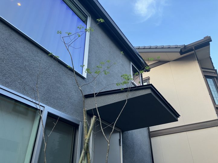 アオダモ 植栽