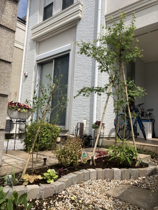 花壇 植栽 ピンコロ