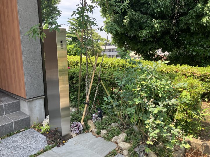 アオダモ 植栽 和モダン