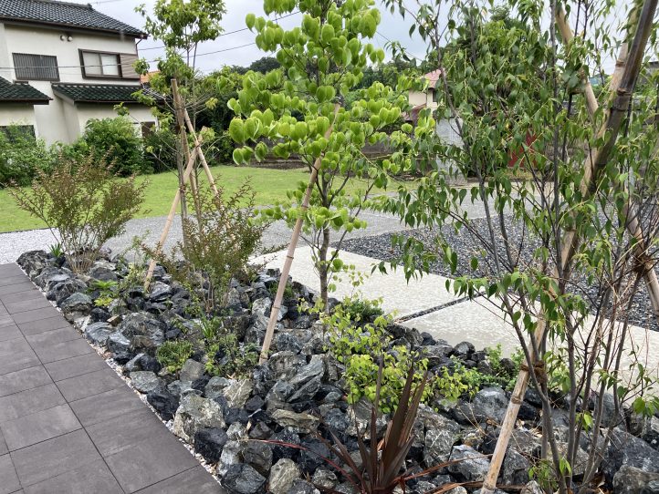 新築外構　植栽