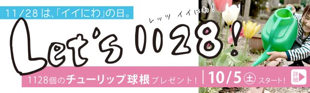 http://Let’s1128チューリッププレゼント企画